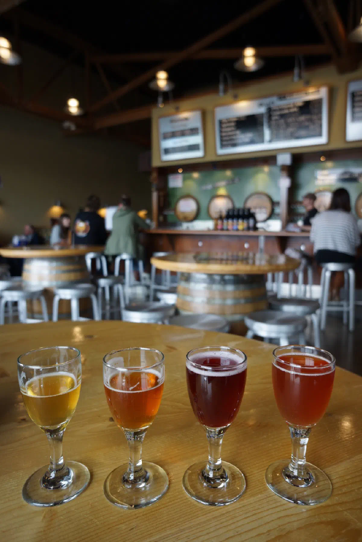 Cascade Sour Beer