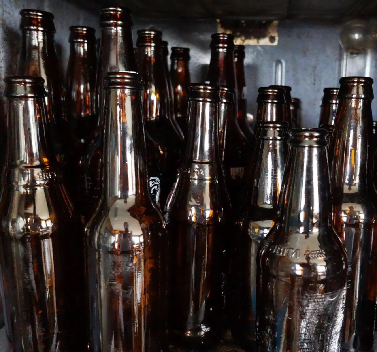 OvenBottles